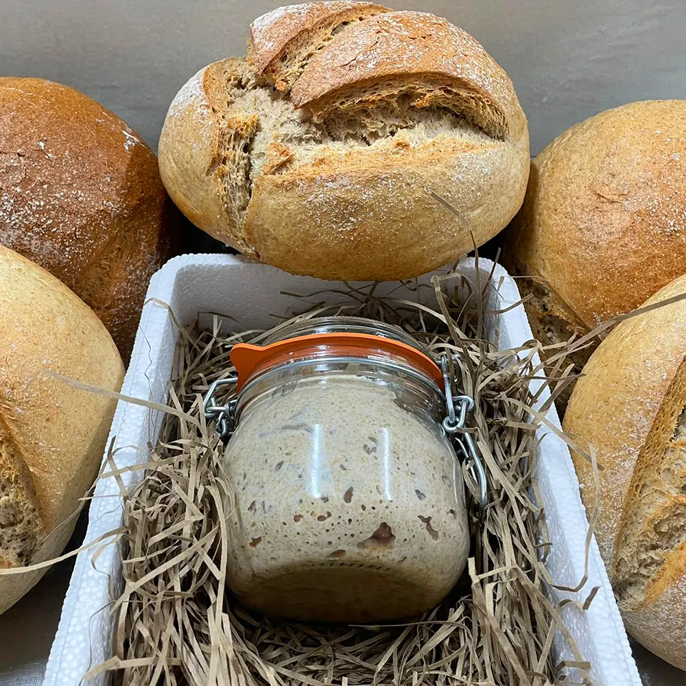 Sourdough starter kit.